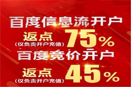 百度竞价推广的技巧与策略：某企业成功案例分享